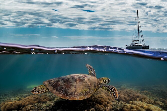 Full Day Low Isles Sailing & Snorkelling Cruise from Port Douglas - Lunch, deck time, and the return sail