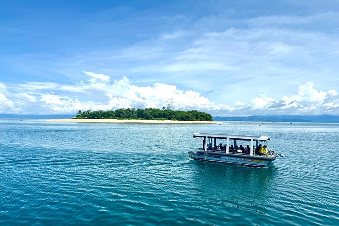 Full Day Low Isles Sailing & Snorkelling Cruise from Port Douglas - How the small group changes the experience