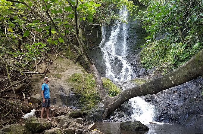 Full Day Oahu Bike, Hike, Sail and Snorkel Combo - Who should book this Oahu combo?