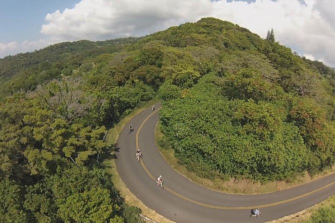 Full Day Oahu Bike, Hike, Sail and Snorkel Combo - The downhill ride through Pu’u Ohia