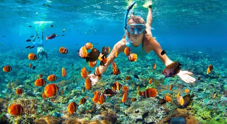 Full Day Sail and Snorkel with Turtles - Lunch, drinks, and the Rose Island beach stop