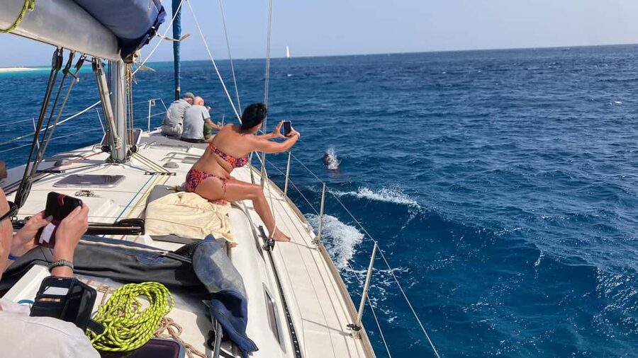 Full day sailing boat in Sal, Cape Verde:taste the Atlantic! - The water changes color along the route
