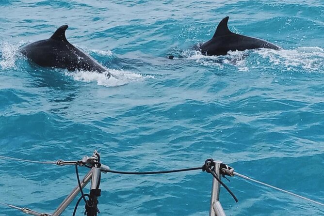 Full Day Sailing Tour Catania-Acitrezza - Who gets the most from this sailing day