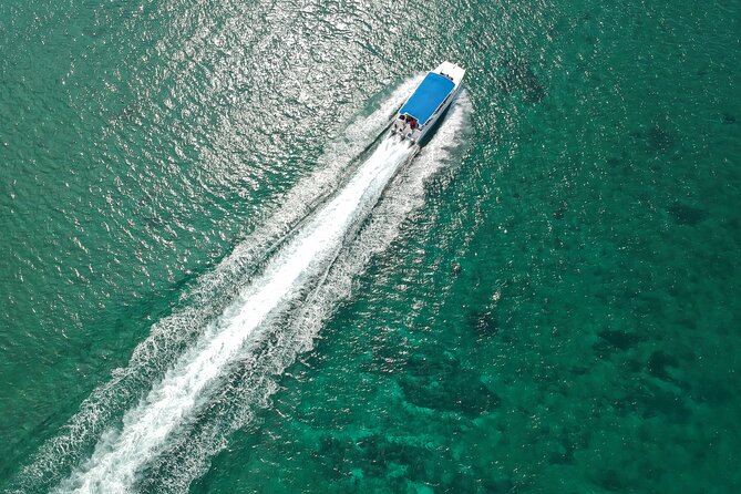 Full-Day Tour to Saona Island Sailing with Lunch and Beverages - Leaving from Playa Bayahibe