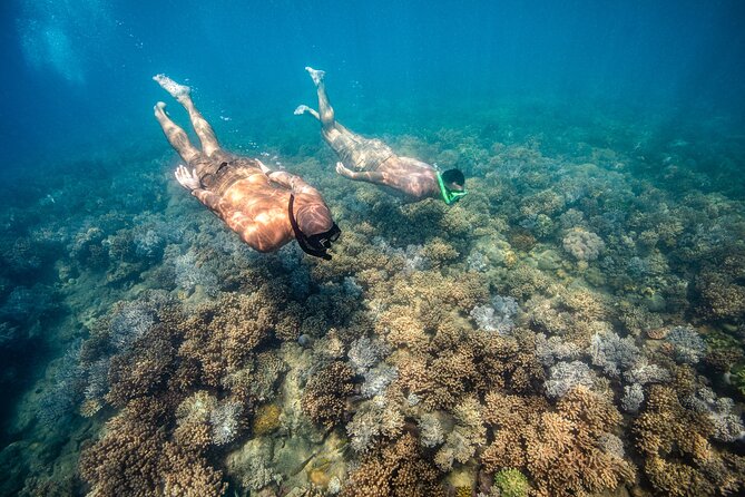Full-Day Whitsunday Sail and Snorkel Adventure with Lunch - Food, drinks, and the relaxed deck