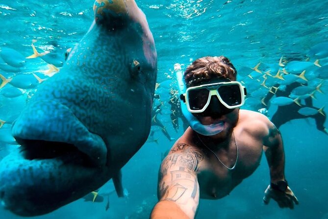 Full-Day Whitsunday Sail and Snorkel Adventure with Lunch - The crew shapes the experience
