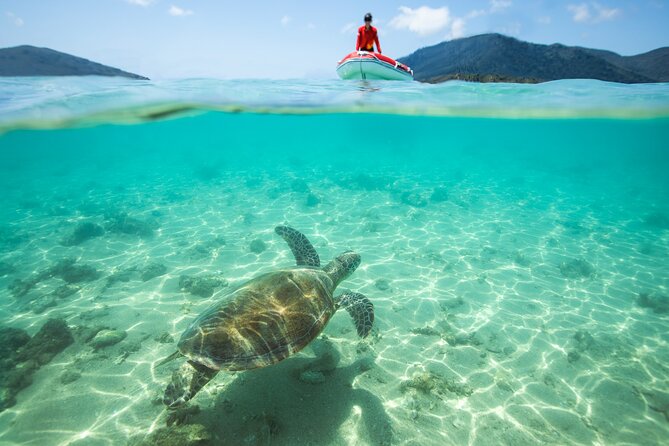 Full-Day Whitsunday Sail and Snorkel Adventure with Lunch - Price and what you receive for it