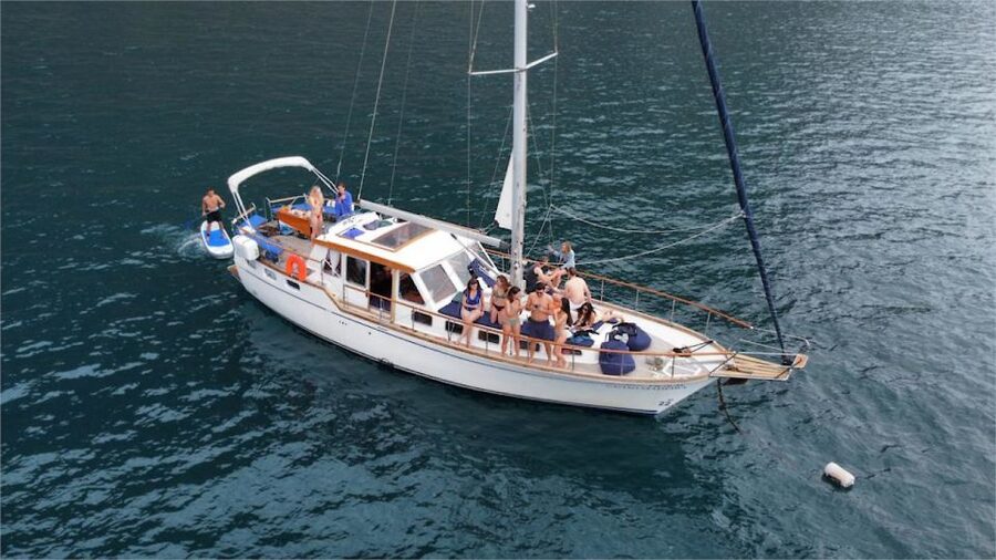 Funchal: Dolphin and Whale Watching Sailing Trip - Cabo Girão and the swimming stop