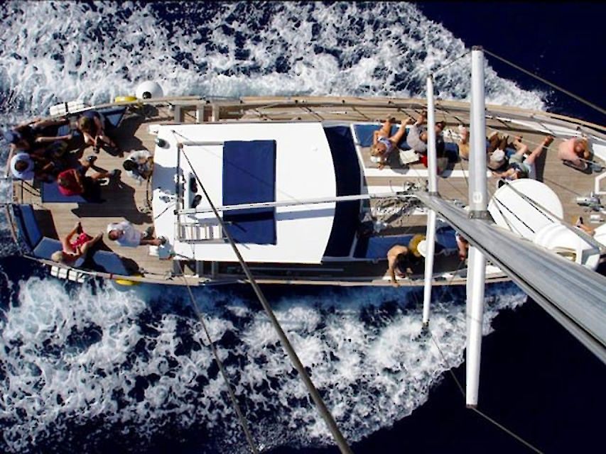 Funchal: Dolphin and Whale Watching Sailing Trip - A relaxed return with Madeira from offshore