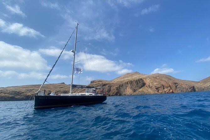 Funchal: Half and Full Day Private Sailboat Tour - Dolphins, whales, and realistic wildlife expectations