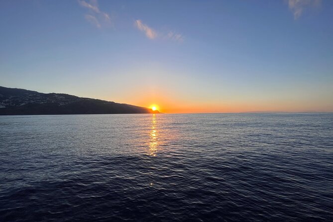 Funchal: Sunset Sailing Private Tour - Leaving the harbor and heading along the south coast