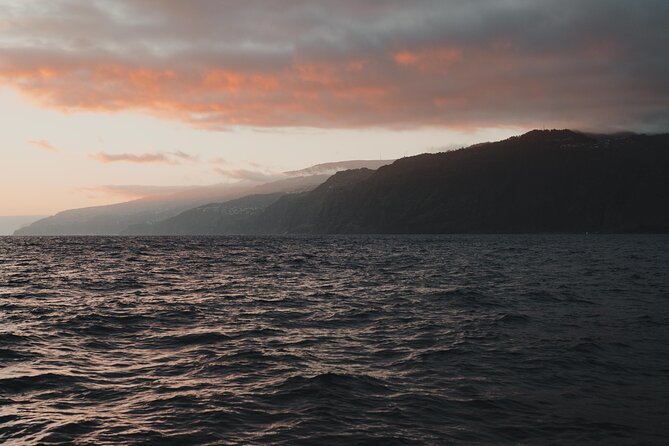 Funchal: Sunset Sailing Private Tour - Finding the blue boat in Funchal