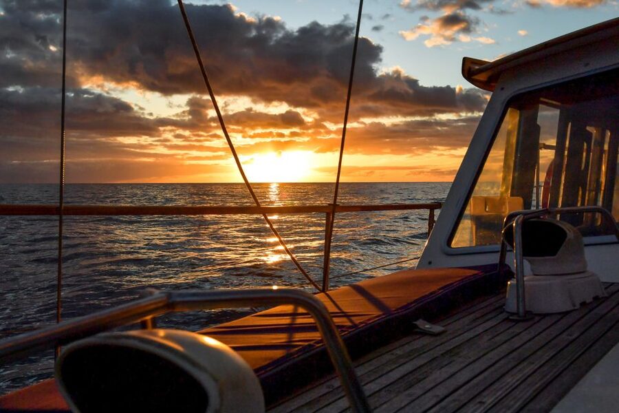 Funchal: Sunset Sailing Tour - The Cabo Girão swimming stop