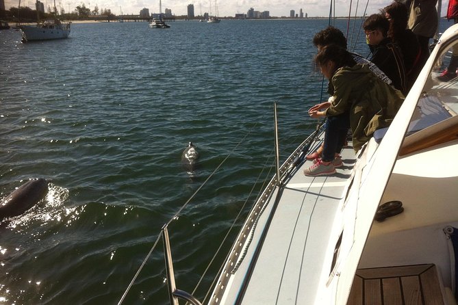 Gold Coast Sailing Cruise with sparkling wine & nibbles platter - Sparkling wine, prawns, and the food choice