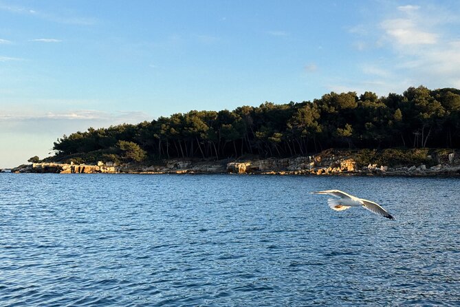 Golf Juan Sunset Sailing Cruise with aperitif at the Island - What to bring and how to prepare
