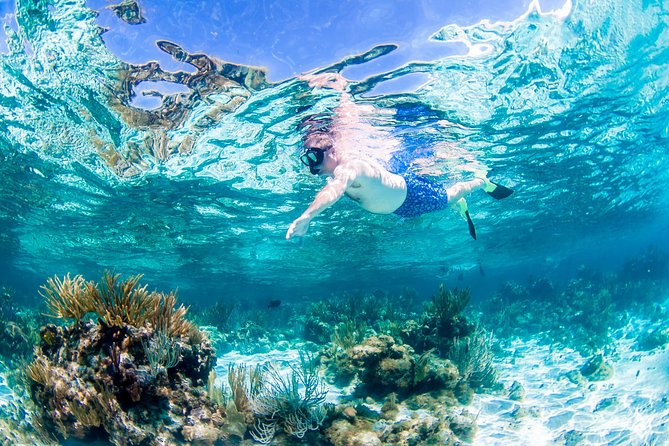 Grand Cayman Kittiwake and Reef Sail - Weather cancellations and flexible planning