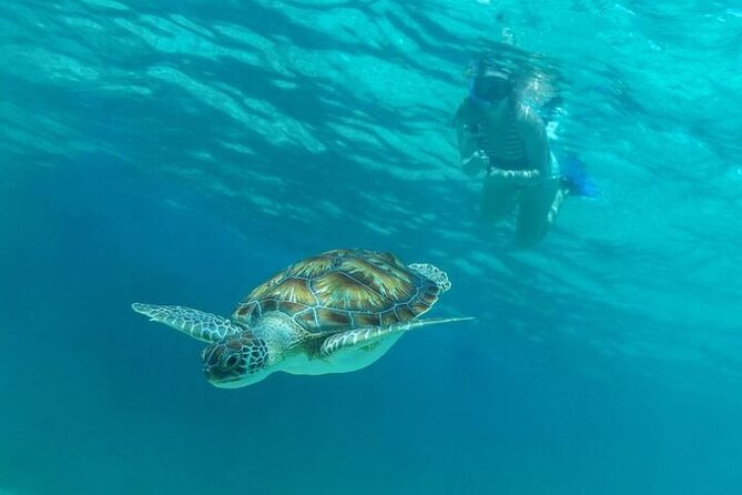 Half Day Luxury Sailing Experience in Riviera Maya with Open Bar - Timing, transport, and the real length of the day