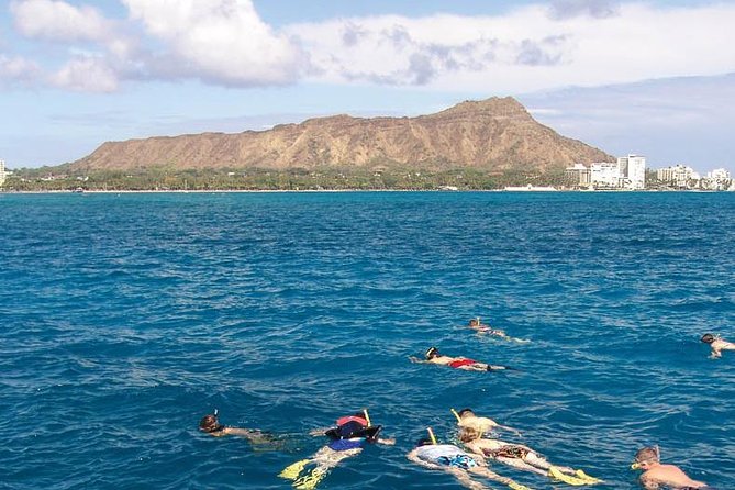 Half Day Oahu Combo Adventure: Bike, Sail and Snorkel - From Waikiki to the forested slopes of Tantalus