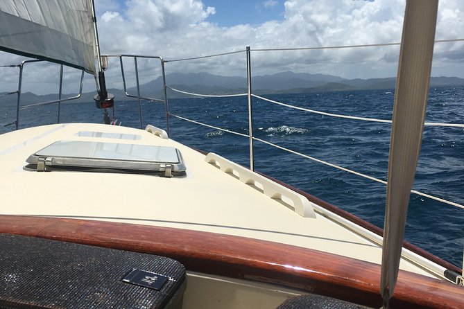 Half Day Sail and Snorkel with the Turtles - Sailing out of Charlotte Amalie on FURY
