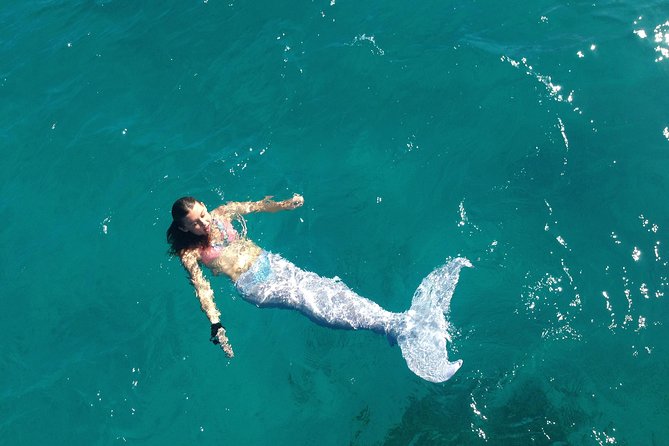Half Day Sail and Snorkel with the Turtles - Practical planning for cruise ship passengers