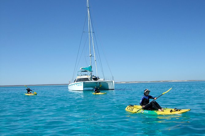 Half Day Sailing and Snorkeling Tour from Coral Bay - What to bring and how to plan