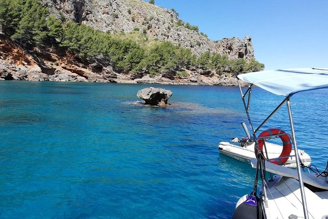 Half Day Sailing Excursion along the Coast - Price, group size, and real value