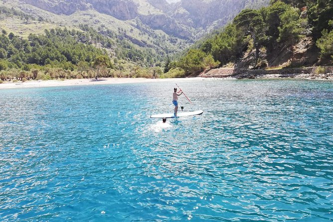 Half Day Sailing Excursion along the Coast - Who will enjoy this sailing trip most