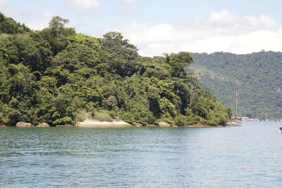 Half-Day Schooner Cruise and Snorkeling in Paraty Bay - Snorkeling Gear, Swimming, and What to Pack