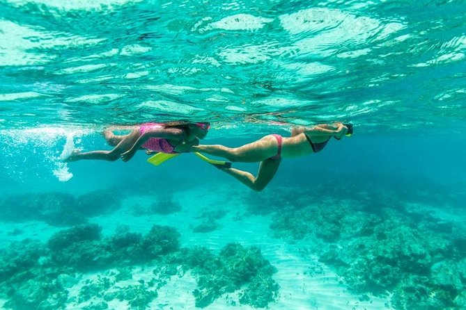 Half-Day Snorkel Sail Tour with Caribbean Lunch - The SS Antilla makes this Aruba snorkel sail special