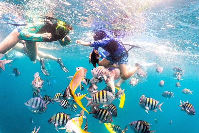 Half-Day Snorkel Sail Tour with Caribbean Lunch - Life aboard the catamaran is part of the experience