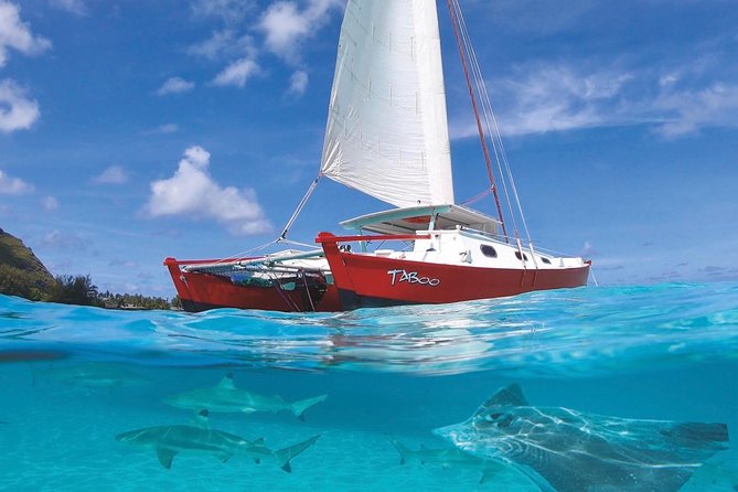 Half Day Tour : Moorea Snorkeling & Sailing on a Catamaran named Taboo - Why Taboo feels different from a large lagoon cruise
