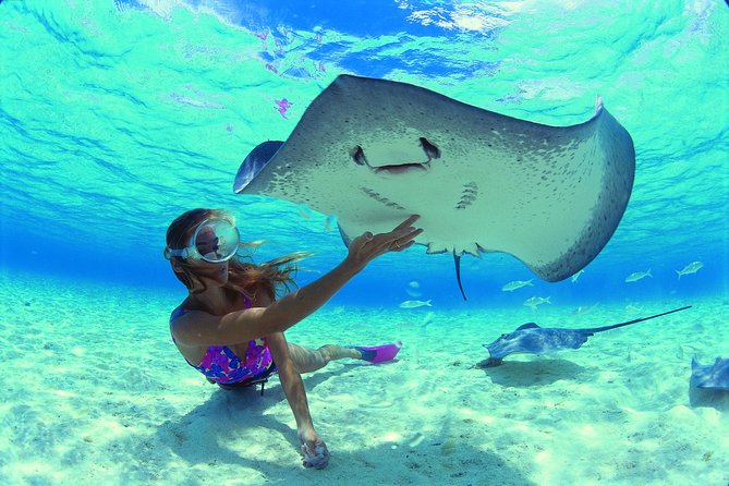 Half Day Tour : Moorea Snorkeling & Sailing on a Catamaran named Taboo - Booking and weather choices