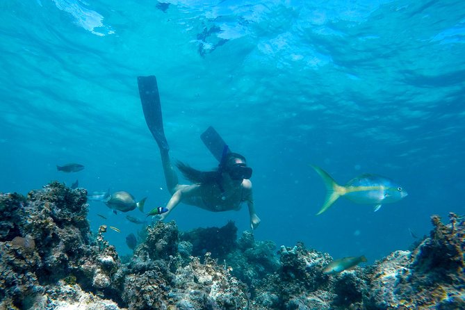Happy Hour Sailing Cruise from Punta Cana - Beginning at the Marinarium Excursions base