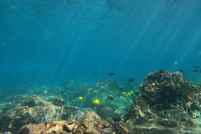 Hawaiian Sail and Snorkel in Kailua-Kona, Hawaii - Leaving Keauhou Bay at 8:00 a.m.