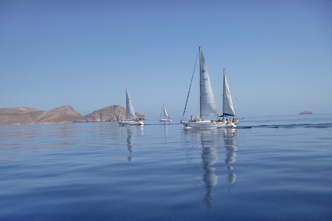 Heraklion: Nature Reserve Full day sailing to Dia Island & Lunch - Pickup, timing, and what to pack