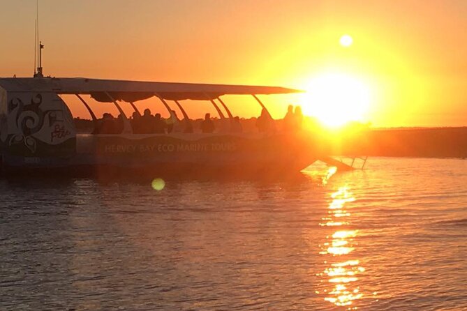 Hervey Bay Champagne Sunset Sail - Watching for dolphins and turtles