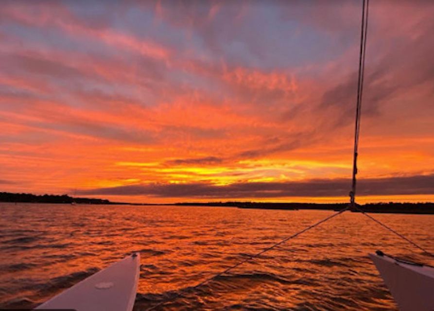 Hilton Head: Private Dolphin Day or Sunset Catamaran Sail - Who will enjoy this most