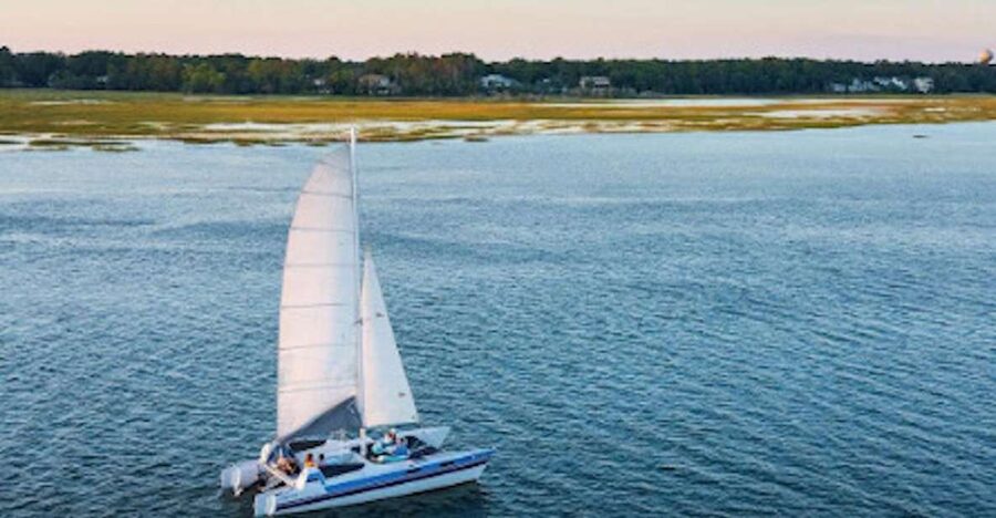 Hilton Head: Private Dolphin Day or Sunset Catamaran Sail - The daytime sail: marsh, birds, and dolphins