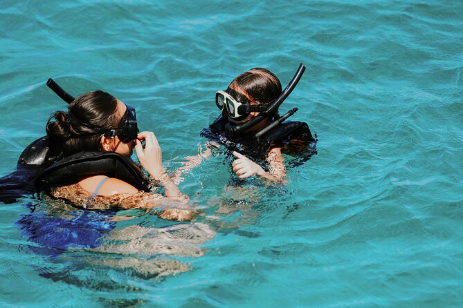 Iconic Aruba Sail and Snorkel Experience - The Antilla shipwreck is worth the stronger current