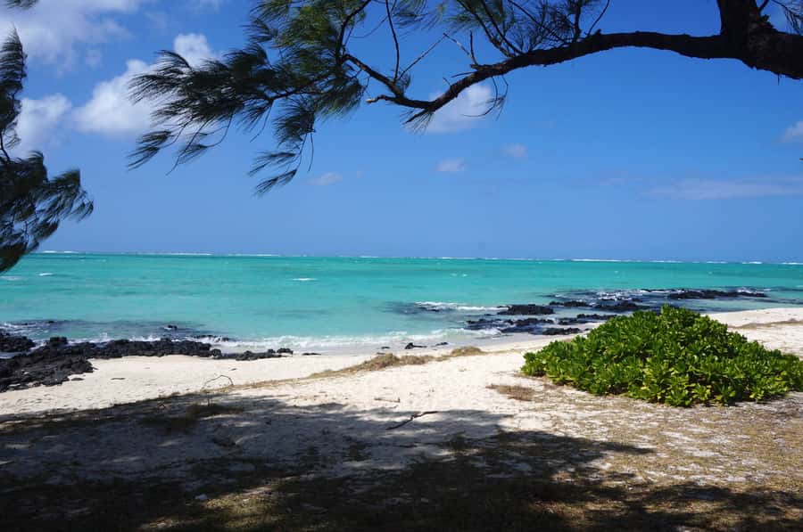 Ile Aux Cerfs Catamaran Cruise sailing from Mahebourg - Grand River South East Waterfall by boat