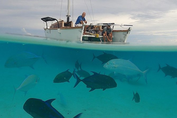Introduction to sailing and discovering the lagoon - Local food and a relaxed pace