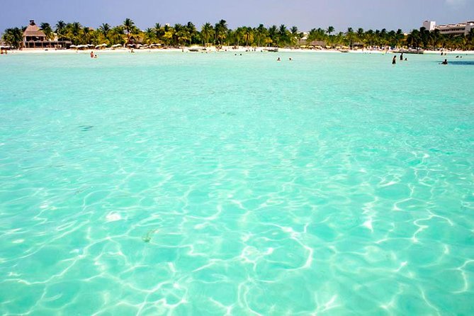 Isla Mujeres Catamaran Luxury Sailing Experience - Who will get the most from this cruise