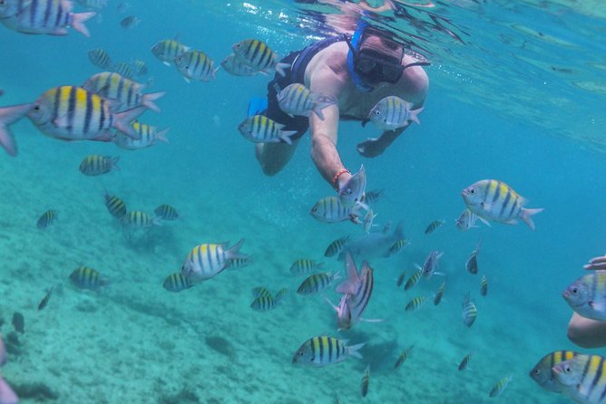 Isla Mujeres Luxury Sailing: Adults Only or Family Friendly - How the $129 price compares with the experience