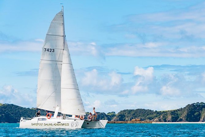 Island Hopper Day Cruise - sailing to wildlife sanctuary island - 6 hr cruise - A six-hour way to see the Bay of Islands