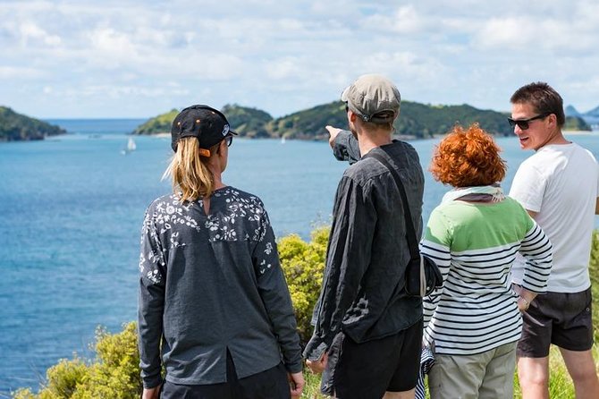 Island Hopper Day Cruise - sailing to wildlife sanctuary island - 6 hr cruise - Weather, cruise ships, and practical timing