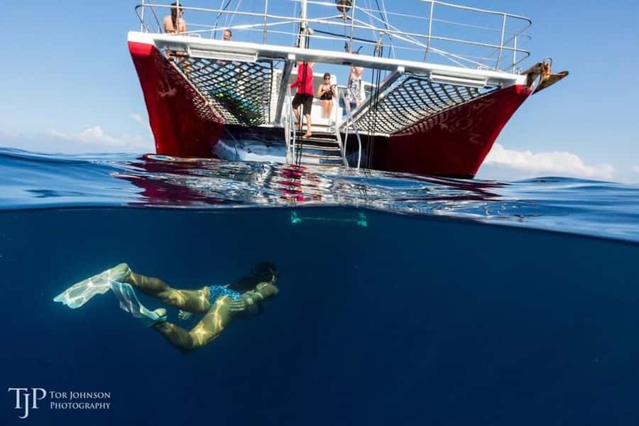 Kailua-Kona: Kealakekua Bay Snorkel and Sail with Lunch - Why Kealakekua Bay makes this four-hour trip worthwhile