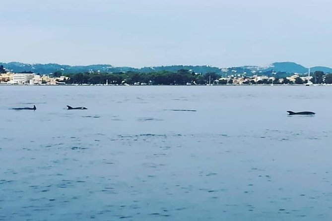 Kassiopi Private Daily Sailing Yacht Cruise - What is included on the boat