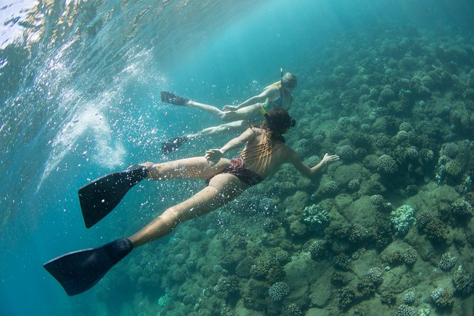 Kauai’s Na Pali Coast Snorkel and Sail Tour - Na Pali Coast State Wilderness Park by catamaran