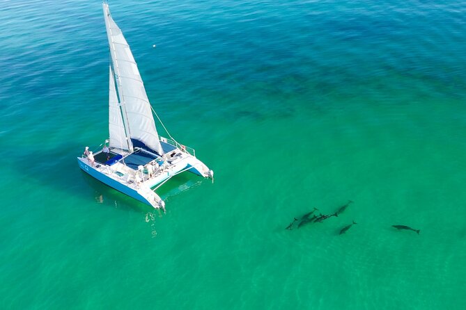 Kayak + Guided Snorkel & Morning Sail hosted by Honest Eco - Key Points Before You Book