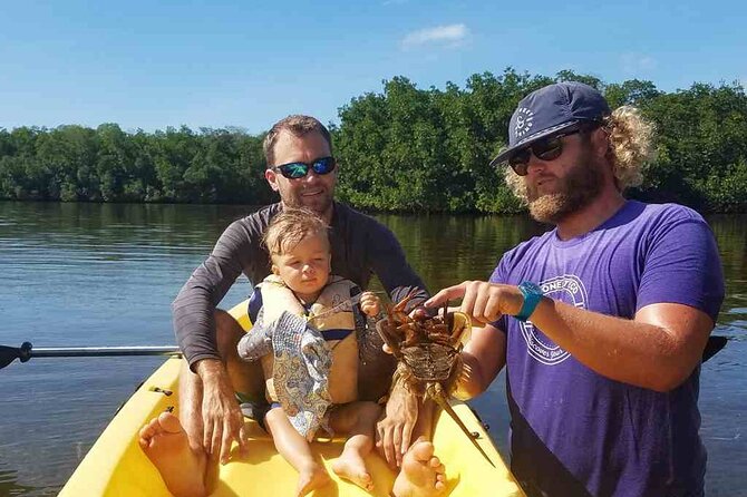 Kayak + Guided Snorkel & Morning Sail hosted by Honest Eco - Dolphins, Turtles, and Other Possible Encounters